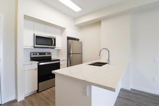 Photo 6: 304 50 Philip Lee Drive in Winnipeg: Crocus Meadows Condominium for sale (3K)  : MLS®# 202116989