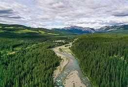 Photo 14: D Timber Road: Sundre Residential Land for sale : MLS®# A2107110