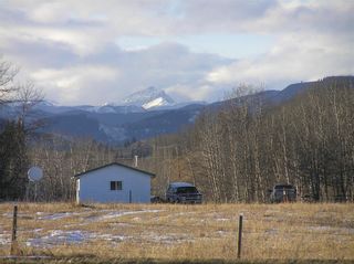 Photo 3: 266083 323 Avenue W: Rural Foothills County Land for sale : MLS®# C4287841
