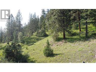 Photo 12: 40 Acres Shuswap River Drive in Lumby: Vacant Land for sale : MLS®# 10268876