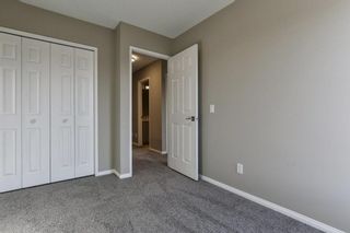 Photo 20: 47 TEMPLEGREEN Place NE in Calgary: Temple Detached for sale : MLS®# C4273952