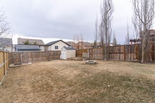 Photo 31: 66 Evansbrooke Terrace NW in Calgary: Evanston Detached for sale : MLS®# A1085797