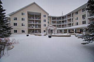 Photo 3: 205 305 1 Avenue NW: Airdrie Apartment for sale : MLS®# A2014061