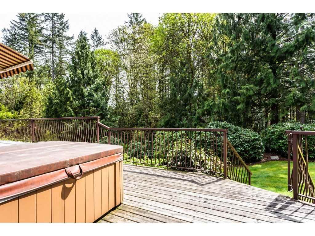Photo 20: Photos: 23646 55A Avenue in Langley: Salmon River House for sale : MLS®# R2361499