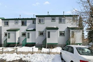Photo 27: 26 131 Templehill Drive NE in Calgary: Temple Row/Townhouse for sale : MLS®# A1209808