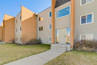 Main Photo: 202 3518 44 Street SW in Calgary: Glenbrook Apartment for sale : MLS®# A2121825