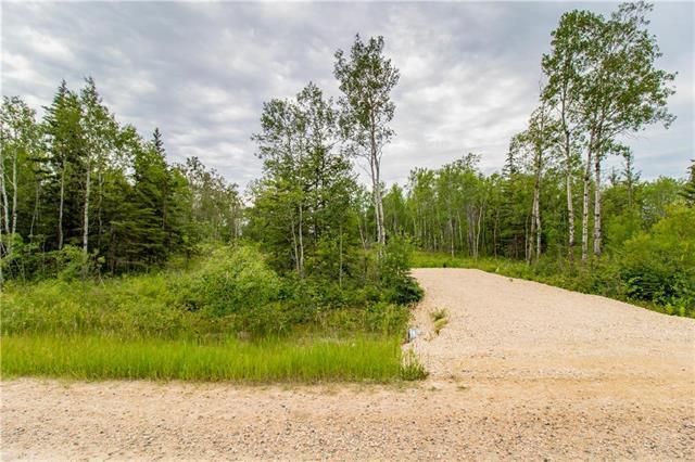 Main Photo: 150 Lochwoods Drive in Gimli Rm: Vacant Land for sale : MLS®# 202313995