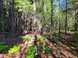 Photo 19: Lot 1 SAUNDERS ROAD in Passmore: Vacant Land for sale : MLS®# 2469922