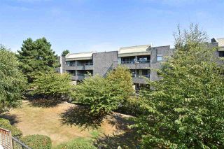 Photo 11: 214 8460 ACKROYD ROAD in Richmond: Brighouse Condo for sale : MLS®# R2302010