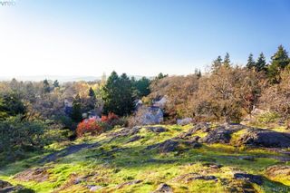 Photo 15: 1464 Bromley Pl in VICTORIA: SE Cedar Hill Land for sale (Saanich East)  : MLS®# 809481