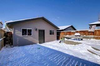 Photo 39: 47 Bridlecrest Road SW in Calgary: Bridlewood Detached for sale : MLS®# A1188357