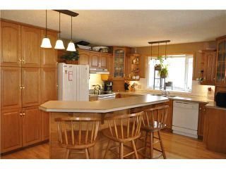 Photo 5: 147 MADDOCK Way NE in Calgary: Marlborough Park Residential Detached Single Family for sale : MLS®# C3646594