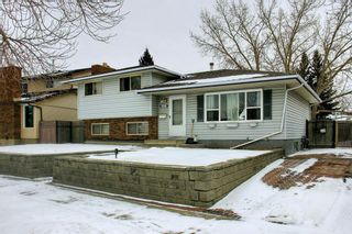 Photo 1: 6303 Rundlehorn Drive NE in Calgary: Pineridge Detached for sale : MLS®# A1181029