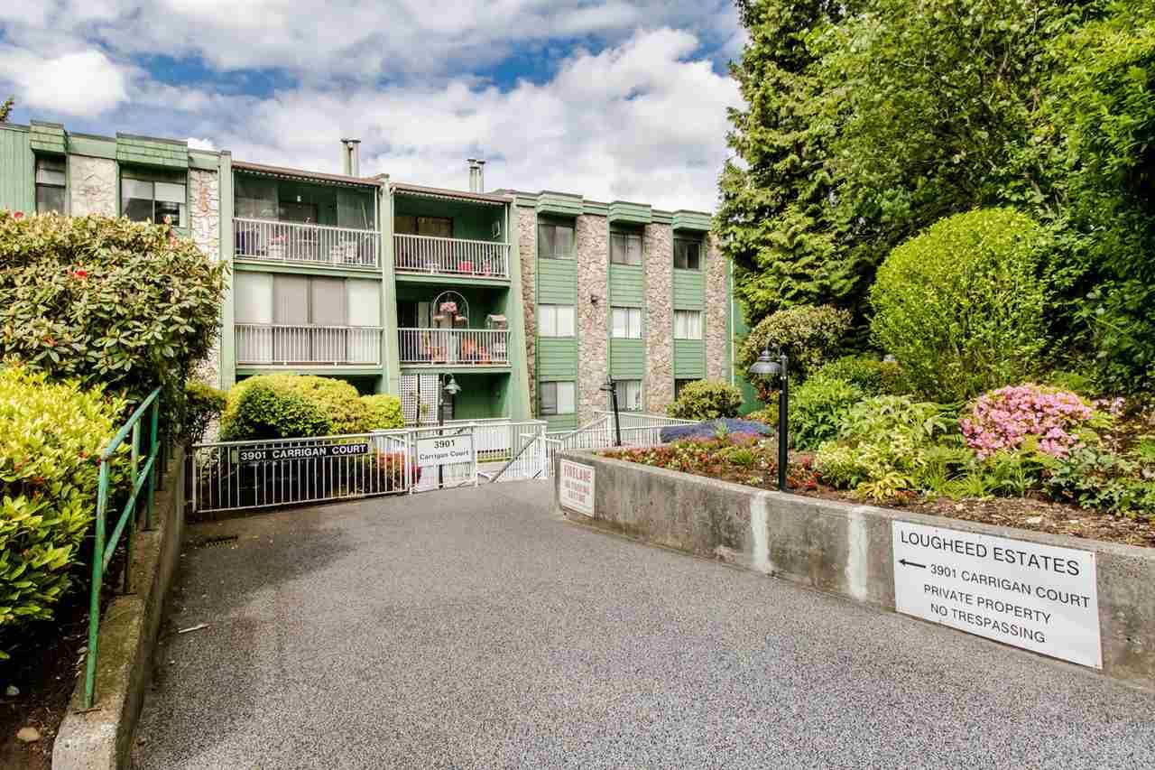 Main Photo: 117 3901 CARRIGAN Court in Burnaby: Government Road Condo for sale in "Lougheed Estates 11" (Burnaby North)  : MLS®# R2457255