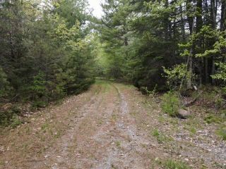 Photo 4: Lots 21-2 & 21-3 Cross Road in Northfield: Annapolis County Vacant Land for sale (Annapolis Valley)  : MLS®# 202211750