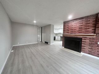 Photo 5: 918 40 Street SE in Calgary: Forest Lawn Semi Detached (Half Duplex) for sale : MLS®# A2132383