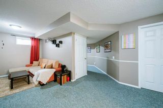 Photo 35: 10 MT BREWSTER Circle SE in Calgary: McKenzie Lake Detached for sale : MLS®# A1025122