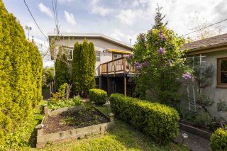 Photo 16: 444 E 38TH Avenue in Vancouver: Fraser VE House for sale (Vancouver East)  : MLS®# R2452399