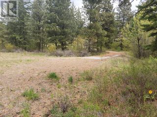 Photo 11: 1375 Bullmoose Way in Osoyoos: Vacant Land for sale : MLS®# 10310061
