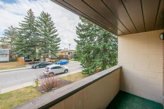Photo 12: 104 1917 24A Street SW in Calgary: Richmond Apartment for sale : MLS®# A1250334
