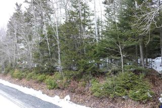 Photo 4: A95-2 Lakecrest Drive in Mount Uniacke: 105-East Hants/Colchester West Vacant Land for sale (Halifax-Dartmouth)  : MLS®# 202226169
