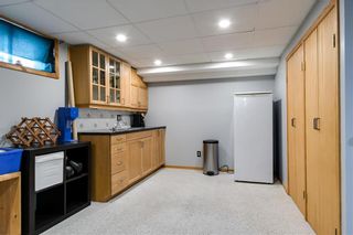 Photo 18: 507 Hazel Dell Avenue in Winnipeg: East Kildonan Residential for sale (3D)  : MLS®# 202009903