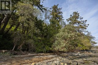 Photo 38: 0 East Rd in Denman Island: Vacant Land for sale : MLS®# 960211