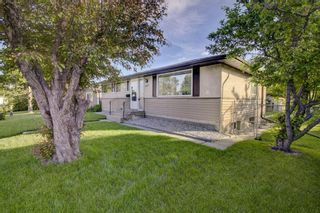 Photo 2: 4431 3 Street NE in Calgary: Greenview Detached for sale : MLS®# A1232463