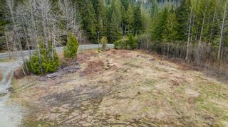 Photo 11: Lot 1 32482 DEWDNEY TRUNK Road in Mission: Mission BC Land for sale : MLS®# R2841323