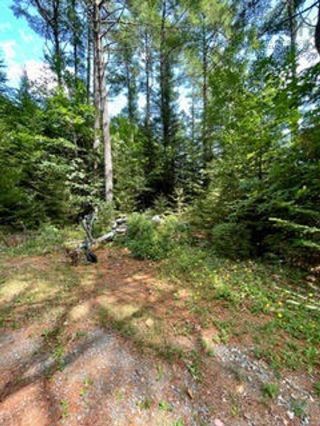 Photo 7: Lot Well Road in Martins River: 405-Lunenburg County Vacant Land for sale (South Shore)  : MLS®# 202219158