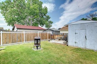 Photo 47: 16 Whitman Close NE in Calgary: Whitehorn Duplex for sale : MLS®# A1244403
