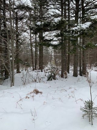 Photo 2: Parcel MAO-1 Long Point Road in Burlington: 404-Kings County Vacant Land for sale (Annapolis Valley)  : MLS®# 202100989