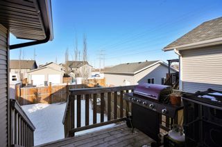 Photo 29: 107 Vickers Close: Red Deer Detached for sale : MLS®# A2031733