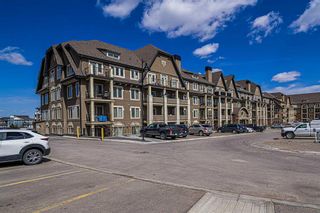 Photo 22: 413 20 Mahogany Mews SE in Calgary: Mahogany Apartment for sale : MLS®# A2122964