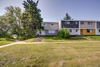 Photo 26: 202 Terrace Park: Red Deer Row/Townhouse for sale : MLS®# A2052033