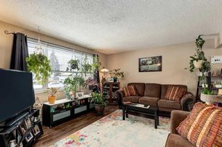 Photo 2: 914 37 Street SE in Calgary: Forest Lawn Detached for sale : MLS®# A2100538