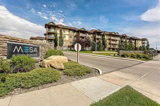 Photo 1: 3215 92 CRYSTAL SHORES Road: Okotoks Apartment for sale : MLS®# C4301331