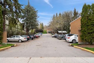 Photo 30: 372 1620 8 Avenue NW in Calgary: Hounsfield Heights/Briar Hill Apartment for sale : MLS®# A2129756