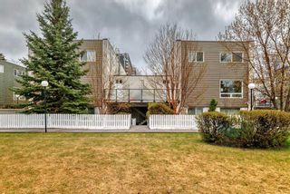 Photo 49: 114 6919 Elbow Drive SW in Calgary: Kelvin Grove Apartment for sale : MLS®# A2129812
