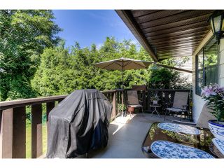 Photo 4: 1005 NOONS CREEK Drive in Port Moody: Mountain Meadows House for sale : MLS®# V1078507