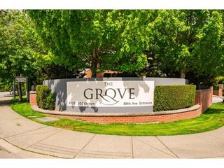 Photo 2: B108 8929 202 Street in Langley: Walnut Grove Condo for sale in "The Grove" : MLS®# R2630992