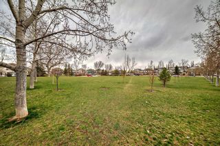 Photo 23: 199 Bridlewood Way SW in Calgary: Bridlewood Semi Detached (Half Duplex) for sale : MLS®# A2128288