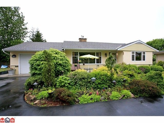 Main Photo: 31792 OLD YALE RD in ABBOTSFORD: House for rent (Abbotsford) 