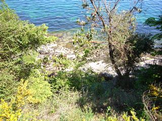 Photo 15: 148 Pilkey Point Road in Thetis Island: House  Land for sale : MLS®# 257031