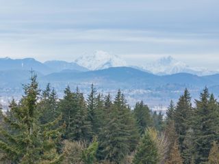 Photo 11: 2469 BECK Road in Abbotsford: Central Abbotsford Land Commercial for sale : MLS®# C8057901