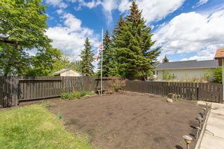 Photo 17: 5336 37A Street: Innisfail Detached for sale : MLS®# A2051185