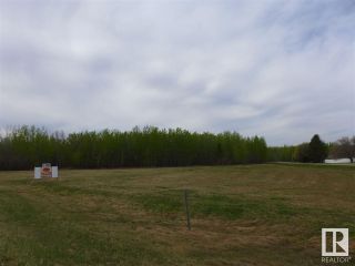 Photo 17: 50 Ave RR 281: Rural Wetaskiwin County Rural Land/Vacant Lot for sale : MLS®# E4299520