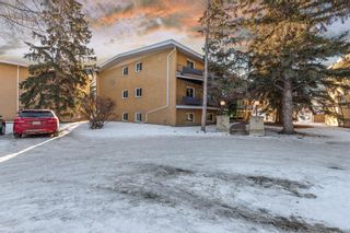 Photo 26: 302 3103 Blakiston Drive NW in Calgary: Brentwood Apartment for sale : MLS®# A2019913