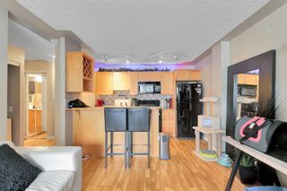 Photo 11: 303 1129 Cameron Avenue SW in Calgary: Lower Mount Royal Apartment for sale : MLS®# A2123648