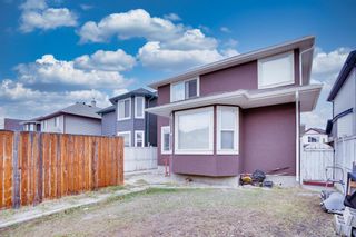 Photo 46: 53 Martha's Haven Green NE in Calgary: Martindale Detached for sale : MLS®# A2051388